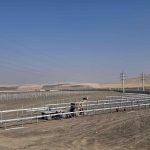 optimized_by_opt.imum.ir__2025-12-02_23-56-41